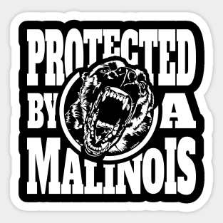 Protected by a Malinois Maligator Belgian Shepherd Sticker